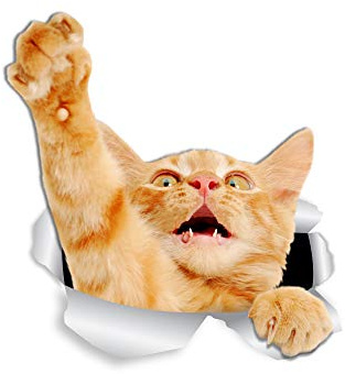 Winston & Bear Lot de 2 stickers muraux en forme de chat roux - 3D - Pour murs, voitures, toilettes et plus encore - Emballage de vente au détail