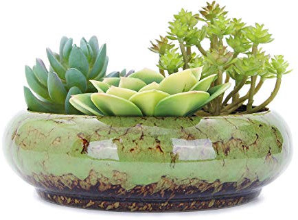 VanEnjoy 18,5 cm runde große flache Sukkulenten Keramik glasierte Pflanztöpfe mit Drainageloch Bonsaitöpfe Garten Deko Kaktus Ständer Blumenbehälter (grün)