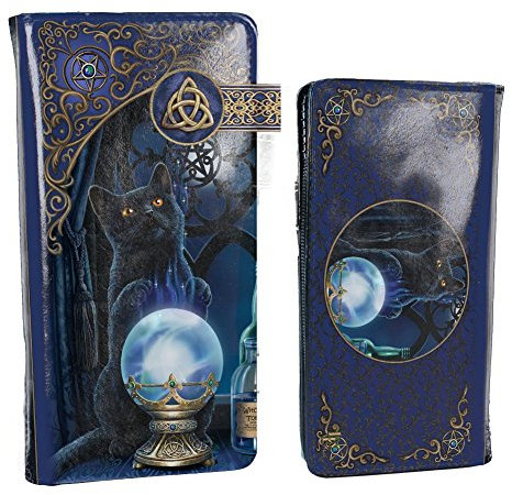 Nemesis Now B4005K8 Witches Apprentice Lisa Parker Geldbörse, geprägt, 19 cm, violett, PU