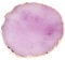 Austinstore Resin Makeup Mixer Nail Art Polish Mixing Plate Foundation Coloring Palette Purple