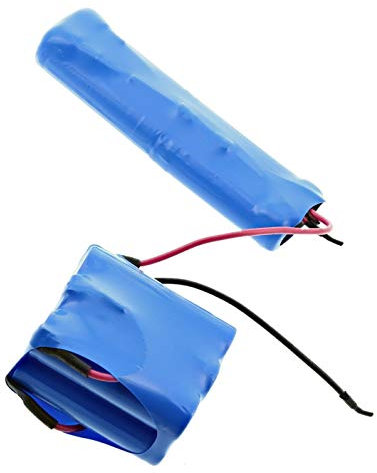 Electrolux AEG - Kit de batería de 12 V Ergorapido AG901 AG935 ZB2901 ZB2955 ZB2934 AG
