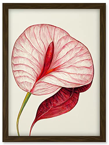 Doppelganger33 LTD Single Red Laceleaf Flower Illustration Anthurium Artwork Framed Wall Art Print A4