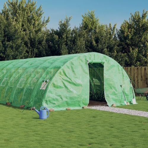 Festnight Serra con Telaio in Acciaio, Serra da Balcone e Giardino, Verde 50 m² 10x5x2,3 m