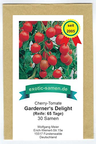 Gardener's Delight - frühe, rote Cherry-Tomate - sehr süß - mehrfacher Preisgewinner - 30 Samen