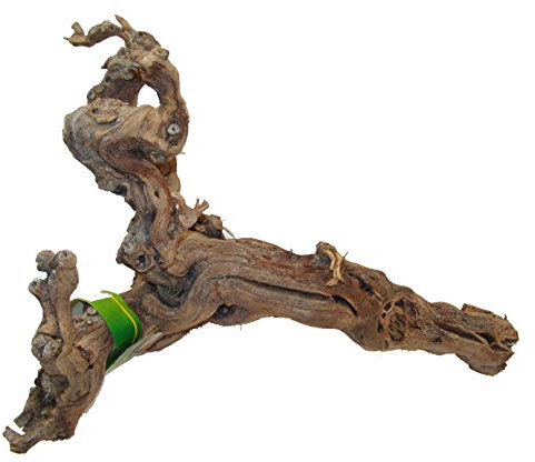 Lucky Reptile Premium Rebholz, Größe:Groß
