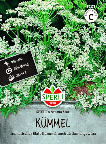 Sperli Kümmelsamen SPERLI's Aroma Star 84176, Gemüsesaat | Zweijährig, für Suppen & Gemüse, Carum carvi, Freiland & Hochbeet