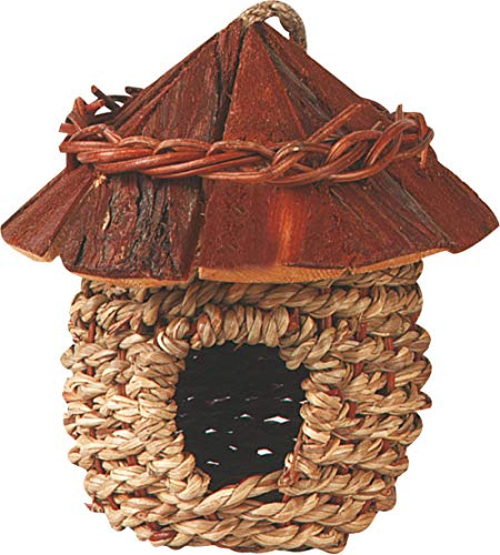 Générique Raw Nest Canberra
