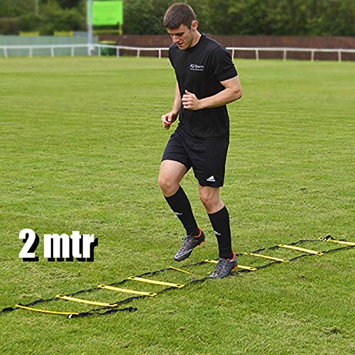 PRECISION TRAINING 2m Speed Agility Ladders