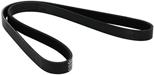Dayco 5PK1084 Poly Rib Belt