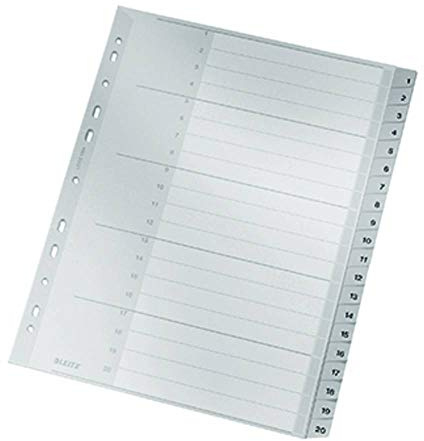 Esselte Leitz 12840000 Plastic Index 1–20 A4 Polypropylene 20 Sheets Grey