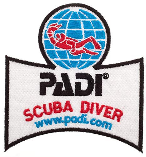 Padi