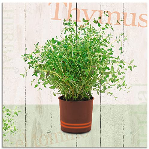 ARTland Wanddeko Wandbild Alu Verbundplatte für Innen & Outdoor Bild 40 x 40 cm Botanik Pflanzen Topfpflanze Foto Creme Thymian A5US