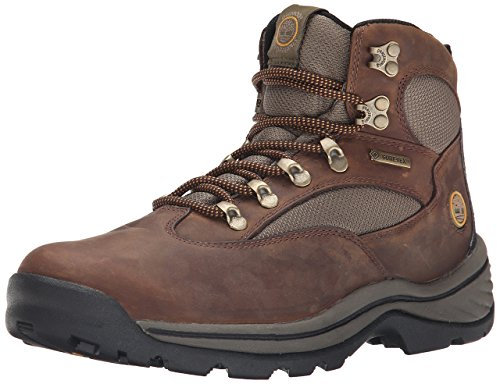 Timberland Chocorua Trail Mid with Gore Tex Membrane 15631, Damen Sportschuhe - Wandern, braun, (Brown w/Green), EU 41 1/2, (US 10), (UK 8)