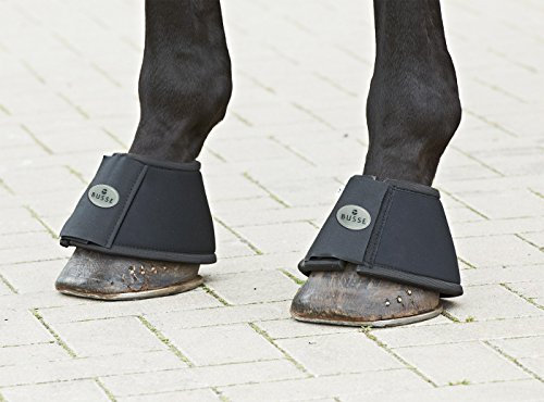 Busse