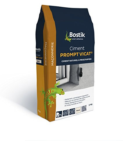 Quelyd 30124881 Ciment Gris Prompt Vicat-Bostik, Beige, Sac de 5 kg