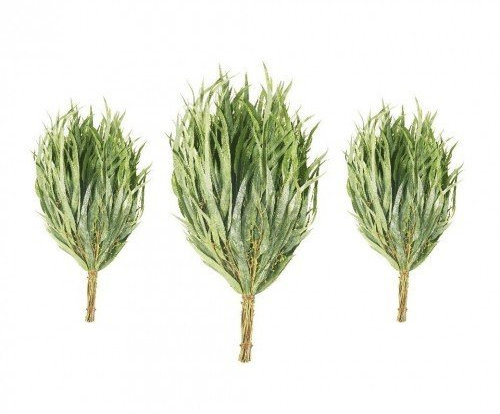 NesFin SAUNAZUBEHÖR Set EUKALYPTUSREISIG 3st