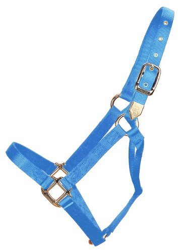Hamilton Pferdhalfter, 2,5 cm, Nylon
