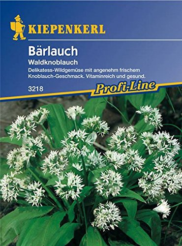 Kiepenkerl Bärlauch, Waldknoblauch (Bärlauch) 0-0cm / 1 Packung (Saatgut, Kräuter)