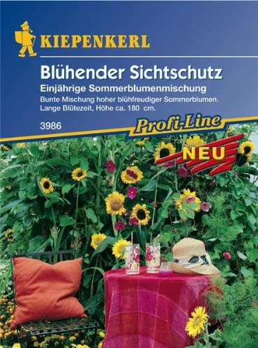 Blühender Sichtschutz einjährige Mischung