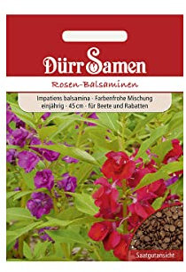 Dürr-Samen - Rosen Balsaminen Mischung einjährig 45 cm Saatgut