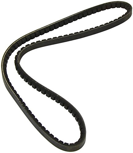 DAYCO 13A1040C Gürtel