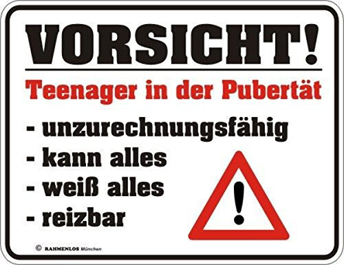 RAHMENLOS Original Blechschild für genervte Eltern: Vorsicht Teenager in der Pubertät! Unzurechnungsfähig, kann Alles, weiß Alles, reizbar Nr.3241