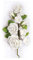 Sucre Blanc Rose Fleur anniversaire gâteau de mariage Spray Pâte à