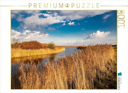 CALVENDO Puzzle Schilf am Tief | 1000 Teile Lege-Größe 64 x 48 cm Foto-Puzzle für glückliche Stunden