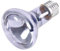 Trixie 76006 Neodymium Wärme Spot Lampe, 63 x 100 mm