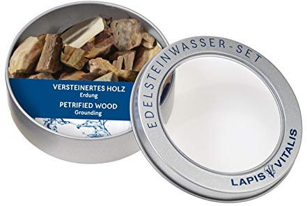 Lapis Vitalis Wassersteine versteinertes Holz 100 g - Unterstützung der Erdung - Edelsteine in einer hochwertigen Metall-Geschenkdose - Rohsteine zur Herstellung von Edelsteinwasser