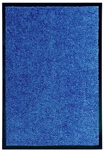 vidaXL Fußmatte Waschbar Schmutzfangmatte Türmatte Fußabtreter Schmutzmatte Schmutzfangläufer Sauberlaufmatte Innen Außen Blau 40x60cm