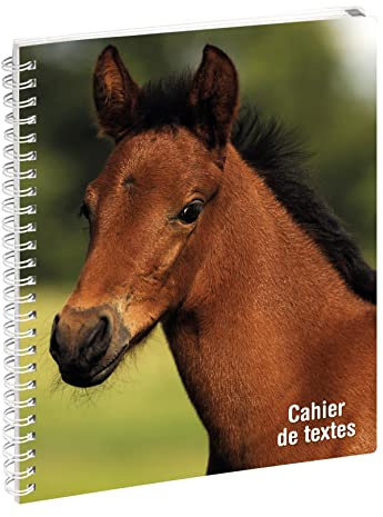 EXACOMPTA - 999163E – Textbuch – 17 cm x 22 cm – Kollektion Tiere Pferd – Einband mit Spiralbindung aus Metall und Registerkarten in wöchentlichen Farben