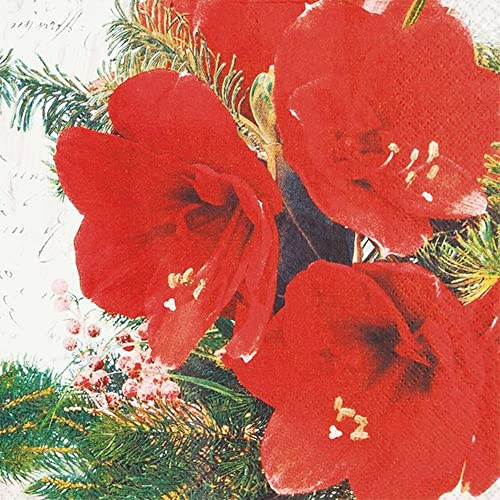 20 kleine Cocktail-Servietten Rote AmaryllisBlüten |Blumen | Weihnachten | Winter | Tischdeko | Decoupage | Serviettentechnik 25x25cm