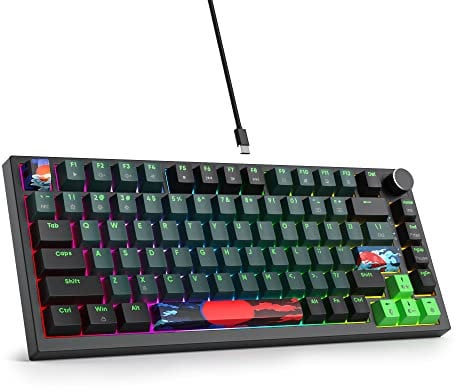 SOLIDEE Verkabelte Mechanische Gaming Tastatur 75%,hot-swap-fähige Mechanische Tastatur Gasket,RGB Hintergrundbeleuchtung,QWERTY 82 Tasten TKL Gaming Tastatur,NKRO Tastatur mit Drehknopf(82 Soundwave)