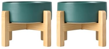 SPUNKYJUNKY Hundenapf Keramik Erhöhter Futternapf Set mit Bambus Ständer für Katzen und Hunde (400ml, Grün)