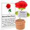 Jadyon Forever Rose Blume Geburtstagsgeschenke für Frauen Frau Freundin, Positive Rose Geschenke, Emotionale Unterstützung Rose für Party Home Decoration.