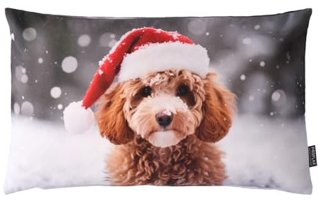 Proflax Kissenhülle mit Zwergpudel-Motiv im Weihnachtslook, 30 x 50 cm