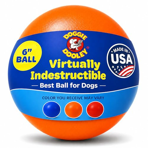 Hueter Toledo Virtually Indestructible Ball 6-inch Orange