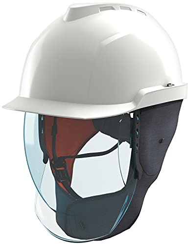 MSA Safety