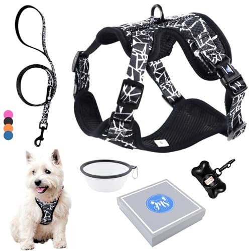 Hundegeschirr für kleine Hunde, Welpen oder Katzen (3-7,5 kg) Brustgeschirr ohne Zug gepolstert mit Leine pet Weste, sehr leicht, atmungsaktiv, weich, einstellbar, Geschenkbox (S Schwarz, Set)