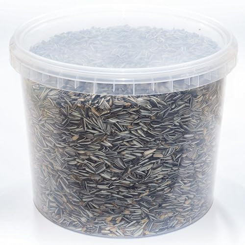 Gärtners Traum Elite Gestreifte Sonnenblumenkerne - Energetische Saatgut-Mischung für Verschiedene Vogelarten - Optimal für Futterstellen im Freien