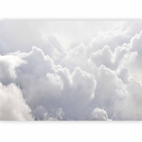 murando - Papier peint panoramique 100x70 cm - Revêtement mural décoration pour chambre salon cuisine - Design unique et moderne - Gris - Nuages paysage nature ciel n-C-0353-a-a