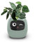 TPHRAVAL Intelligent Flower Pot, Electronic Bud, Maintenance Plant Assistant, Fun Interactive Flower Pot, Indoor Green Planting Monitoring, LCD Screen Display, Cell Phone APP Connection (Green)