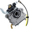 ANBOO Carburetor Chain Saw Replacement for TTK587GDO 4 IN1and TTL488GDO 2 IN1 Compatible with TITAN-TTL488GDO Multi Tool Strimmer