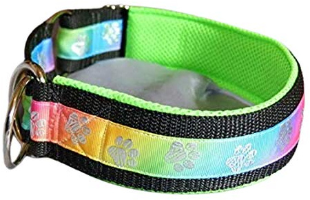 Hunde Halsband Regenbogen Pfoten