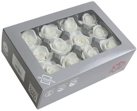 Générique VERDISSIMO Rose Stabilisée Bouton X12 / diametre de 4cm (Blanc)