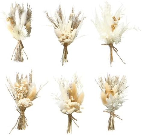 6 Bündel Trockenblumenstrauß Mini Echten Trockenblumen zum Basteln Boho Trockenblumenstrauß Klein Handgemachter Blumenstrauß Natürliche Getrocknete Blumenstrauss Blumen Deko für Bilderrahmen