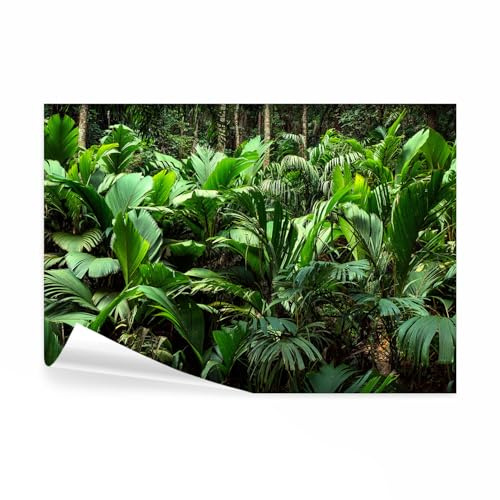 decomonkey - Papier Peint Panoramique Adhésif Plantes 392x280 cm - Stickers Muraux Chambre Déco XXL Autocollant - Vert turquoise - Feuilles tropicales forêt plantes nature photographie jungle