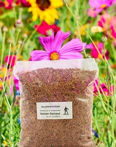 Blumenwiese Wildblumen und Kräuterwiese – 1kg Frische Züchtersaat für 100 m²