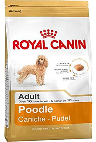 Royal Canin 35136 Breed Pudel 1,5 kg - Hundefutter